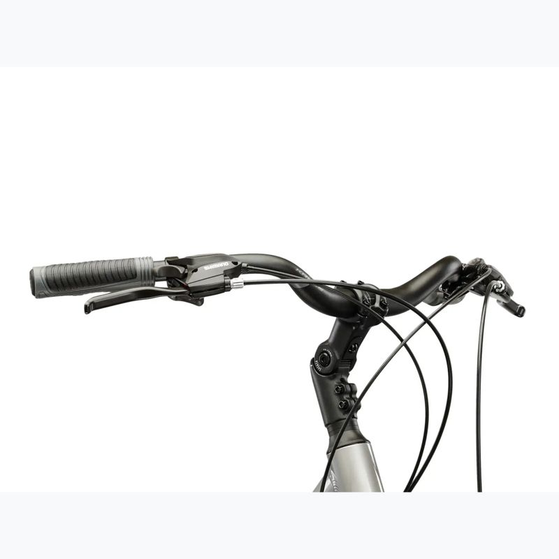 Dámské trekové kolo KROSS Trans 3.0 In silver/gray/gloss 4
