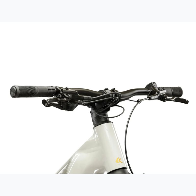 Dámské elektrokolo KROSS Influx Hyb 1.0 720Wh grey/gold/gloss 4