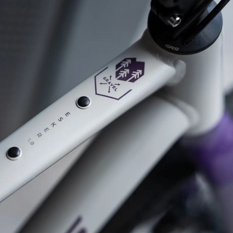 Gravelové kolo KROSS Esker 1.0 FL grey/purple/gloss 15