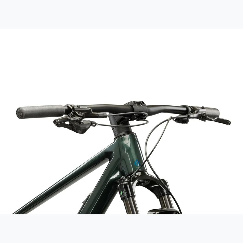 Horské kolo KROSS Level RS 1.0 green/chameleon/gloss 4