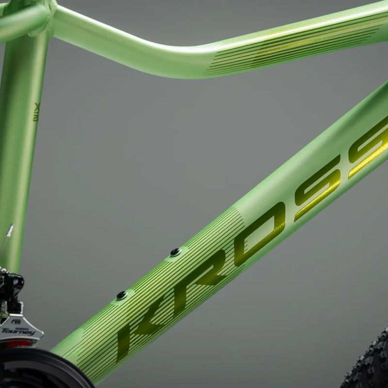 Dámské horské kolo KROSS Lea X200 W 27.5 green/green/matte 12