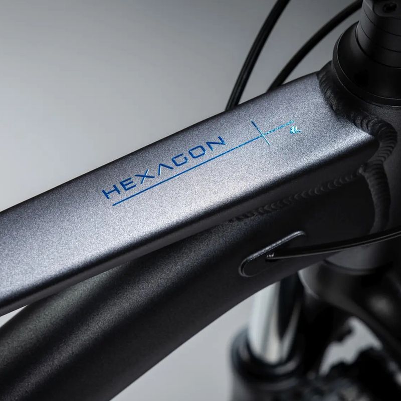 Horské kolo KROSS Hexagon X200 29" grey/blue/matte 14