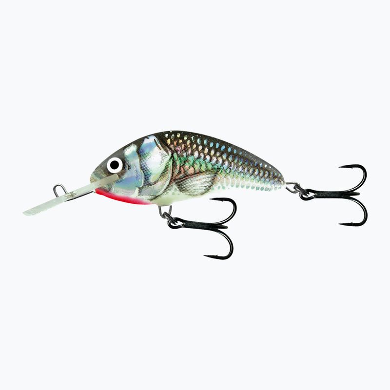 Wobbler Salmo Hornet FL holografický šedý lesklý QHT077