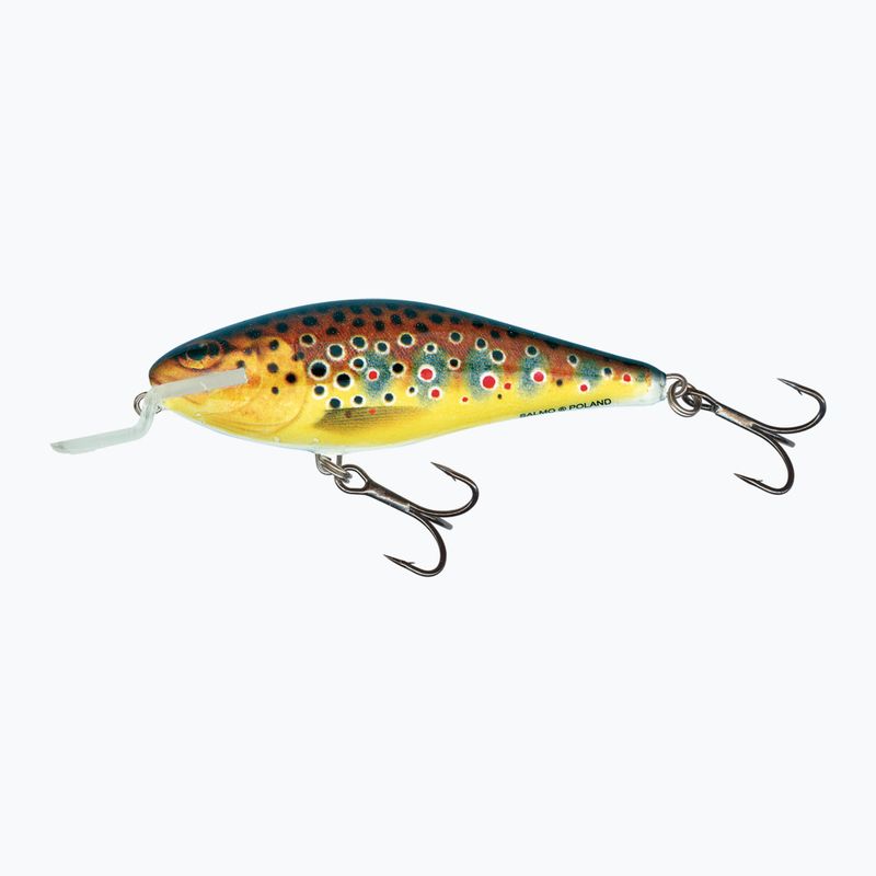 Salmo Executor SHR pstruh QEX005