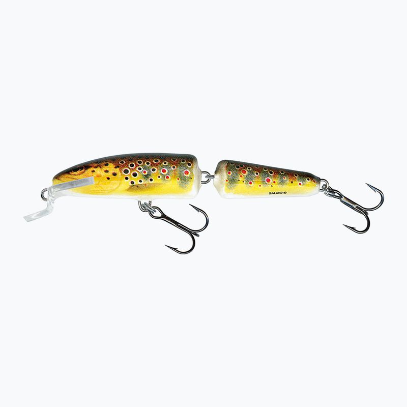 Salmo Fanatic F7F trout QIF004