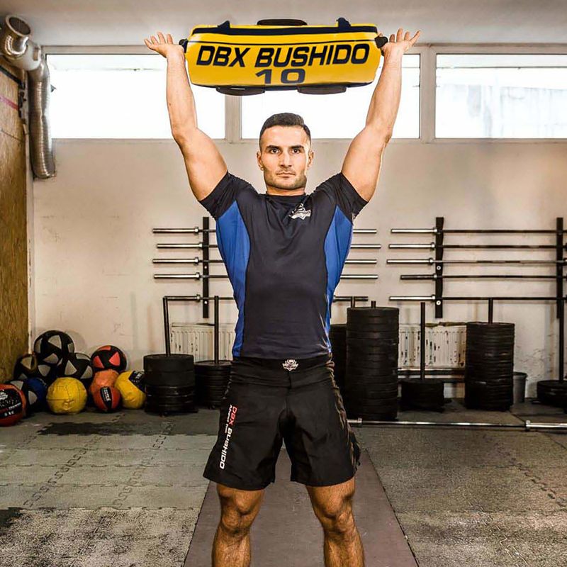 Bushido Power Bag 10 kg žlutý Pb10 6