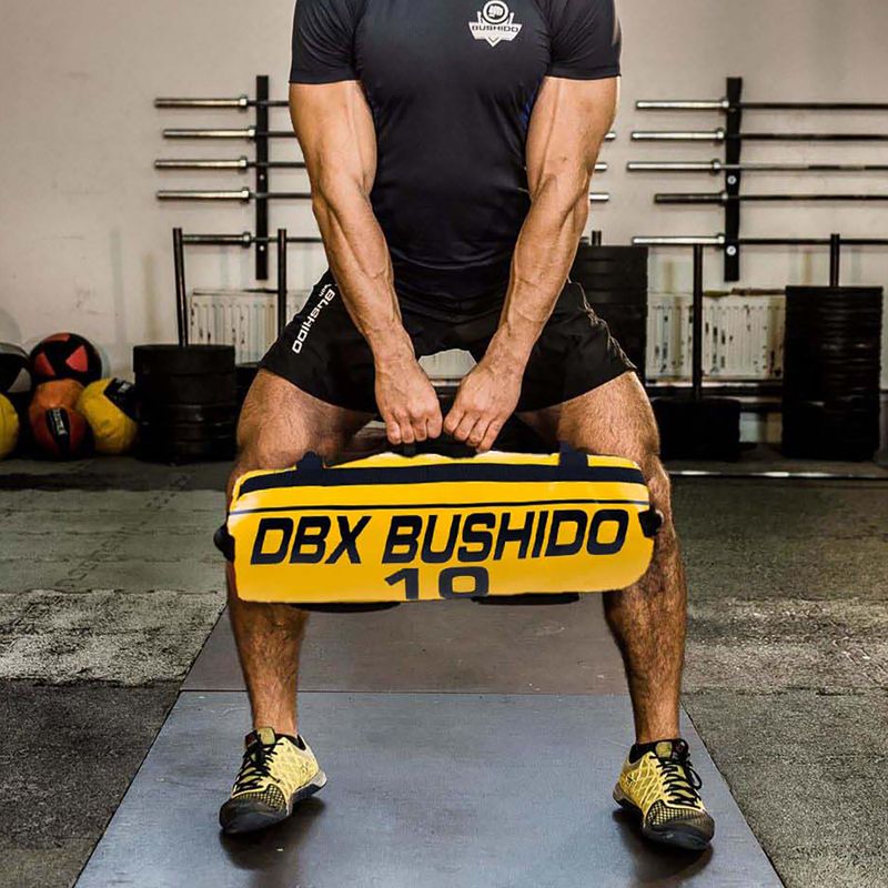 Bushido Power Bag 10 kg žlutý Pb10 8
