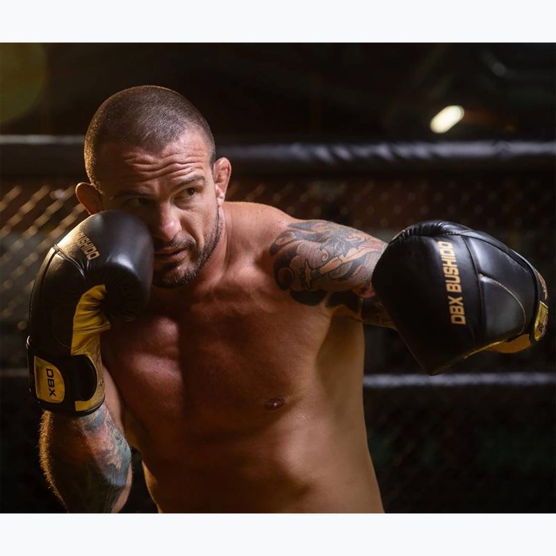 Boxerské rukavice Bushido z přírodní kůže černé B-2v14-10 oz 14