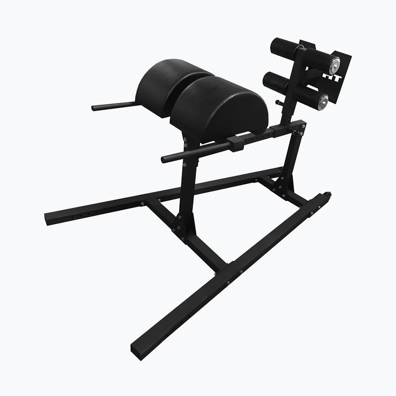 Přístroj na posilování bicepsu THORN FIT GHD-1 gym black 2