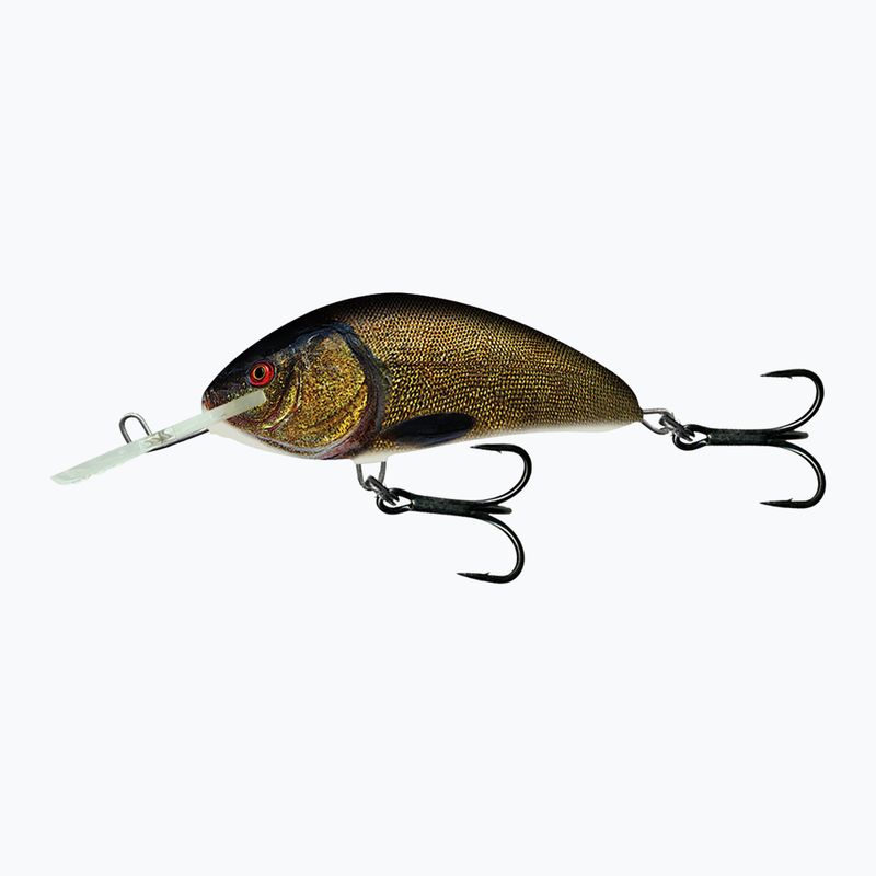 Salmo Hornet FL nadpřirozený lín QHT858