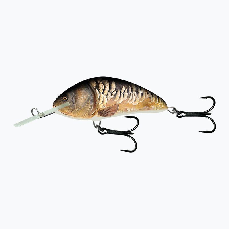 Salmo Hornet FL nadpřirozený zrcadlový kapr QHT859