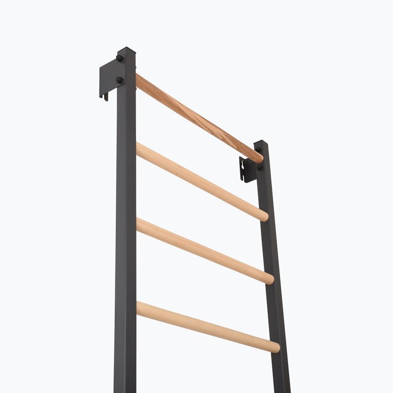 Gymnastické žebřiny RINAGYM Steel 1 graphit 5