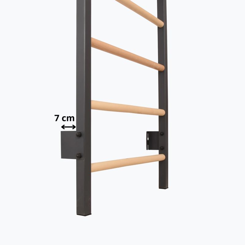 Gymnastické žebřiny RINAGYM Steel 1 graphit 10