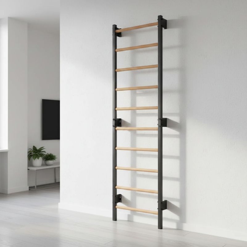 Gymnastické žebřiny RINAGYM Steel 1 graphit 11