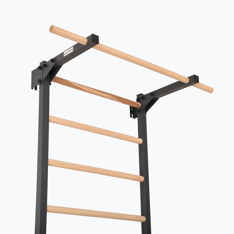 Gymnastické žebřiny RINAGYM Steel Pure graphit 5