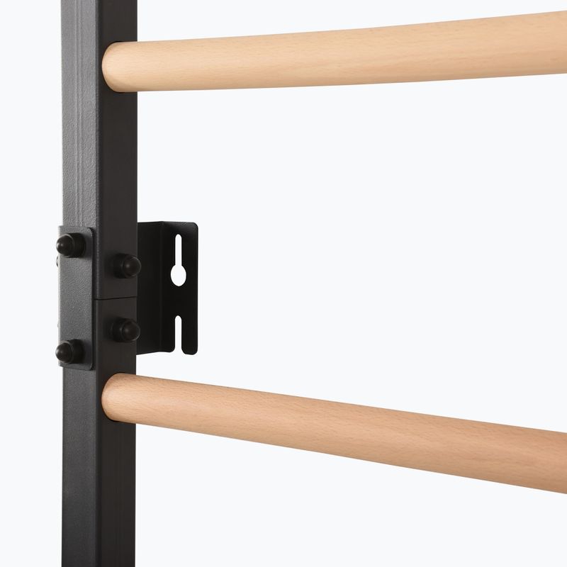 Gymnastické žebřiny RINAGYM Steel Pure graphit 11