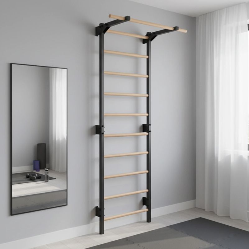 Gymnastické žebřiny RINAGYM Steel Pure graphit 14