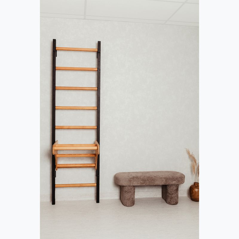 BenchK gymnastický žebřík černý BK-211B 12