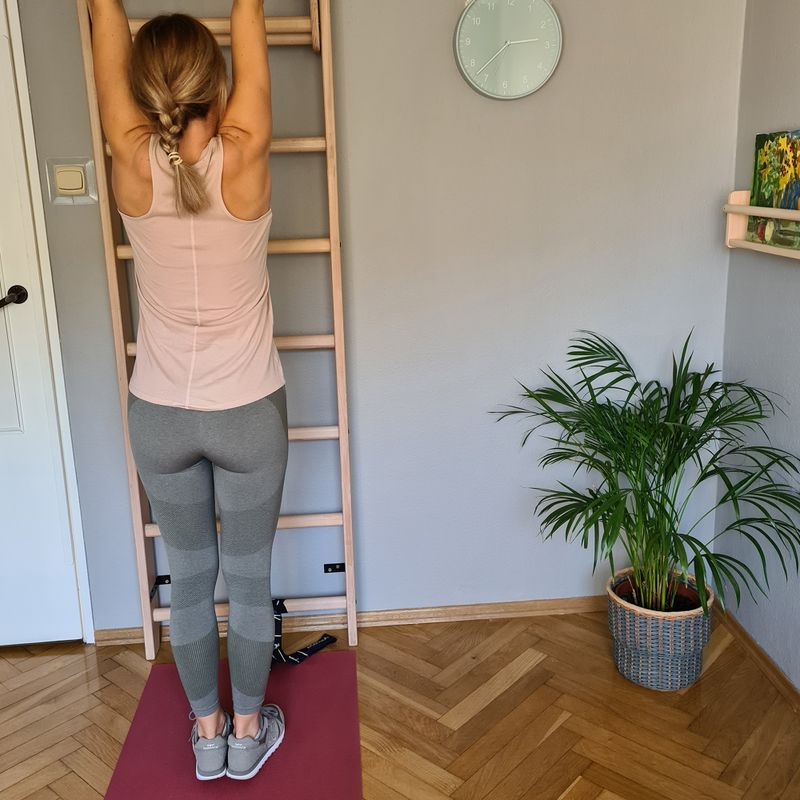 BenchK bronzový gymnastický žebřík BK-111 7