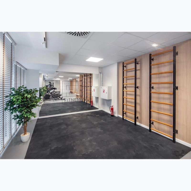 Gymnastická žebřina BenchK black BK-700B 13