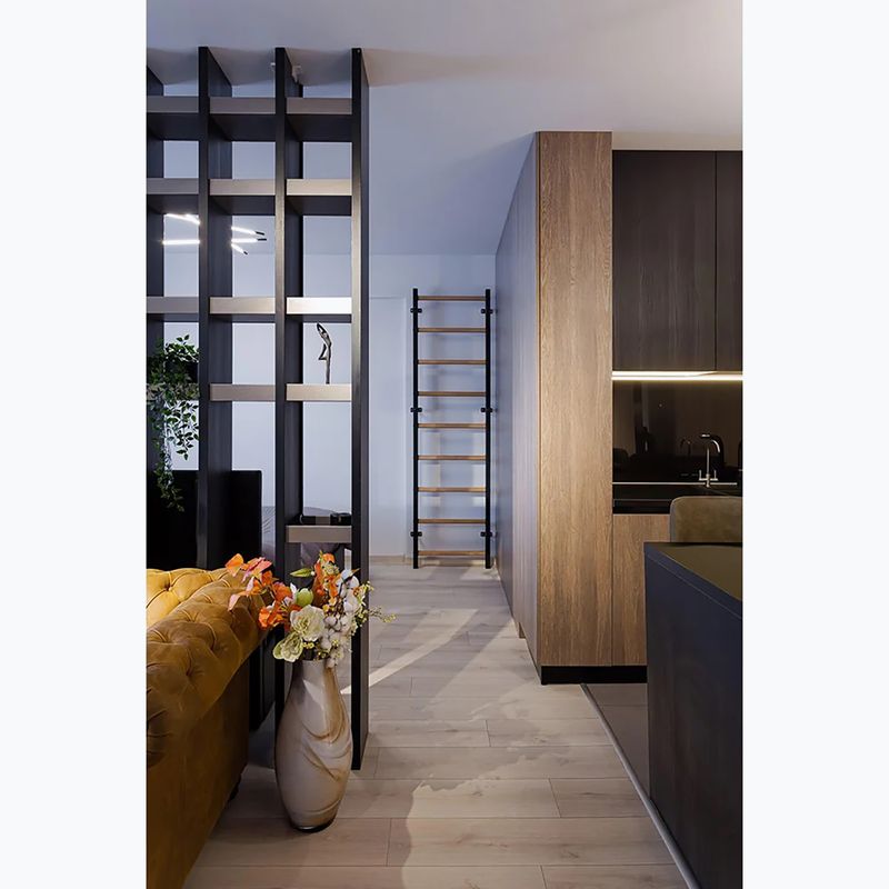 Gymnastická žebřina BenchK black BK-700B 12