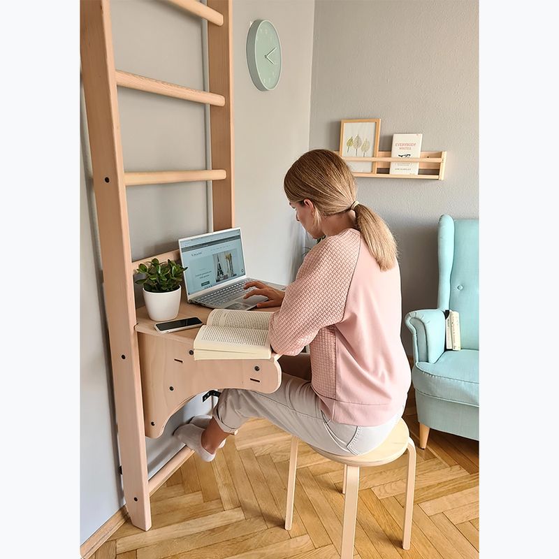 BenchK bronzový gymnastický žebřík BK-112 8