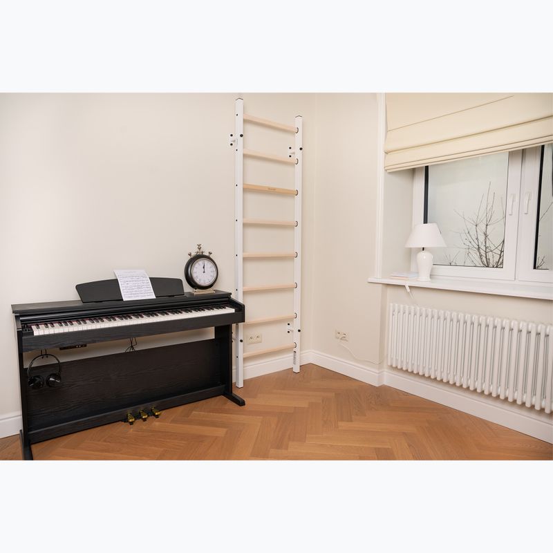Gymnastický žebřík BenchK bílý BK-210W 8