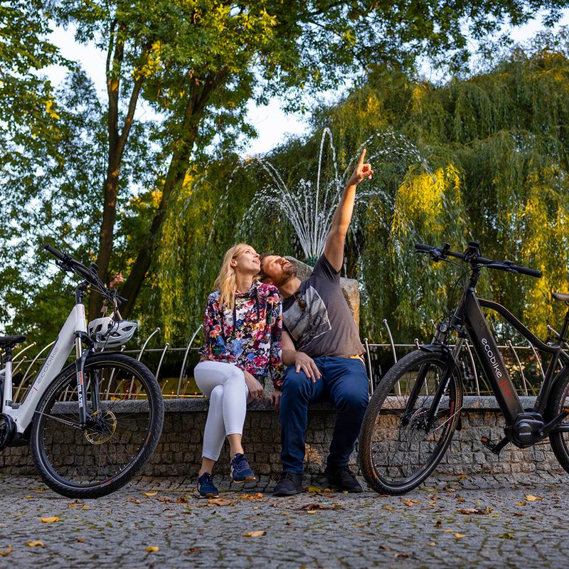Elektrokolo Ecobike MX300 LG černé 1010307 18