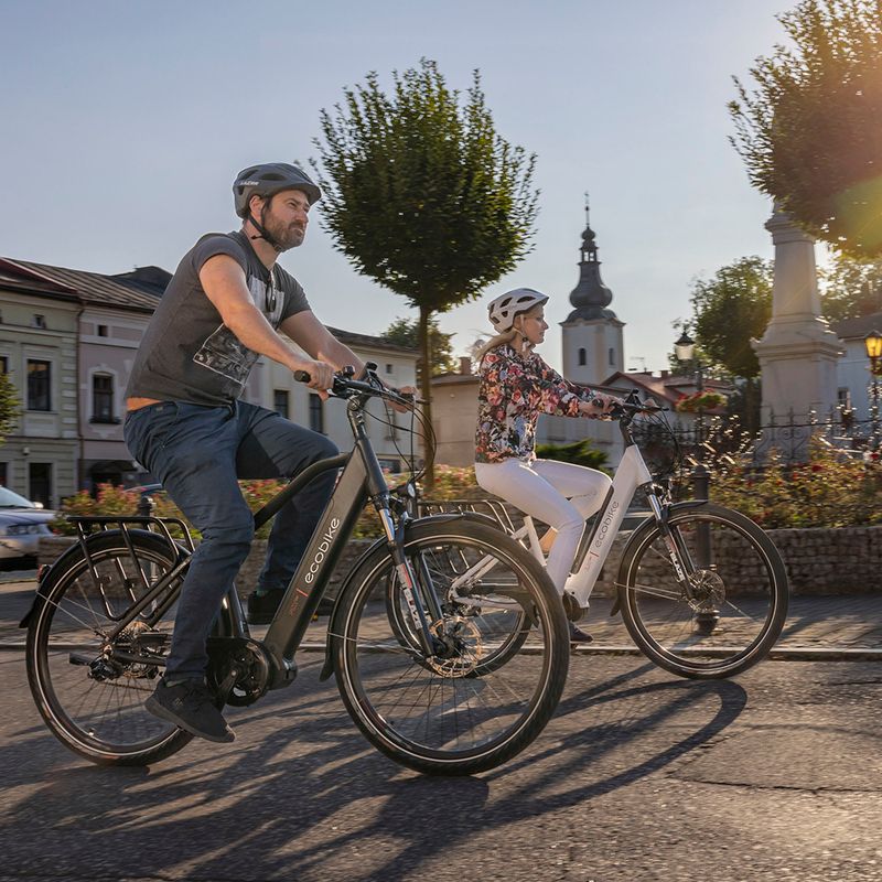 Elektrokolo Ecobike MX300 LG černé 1010307 19
