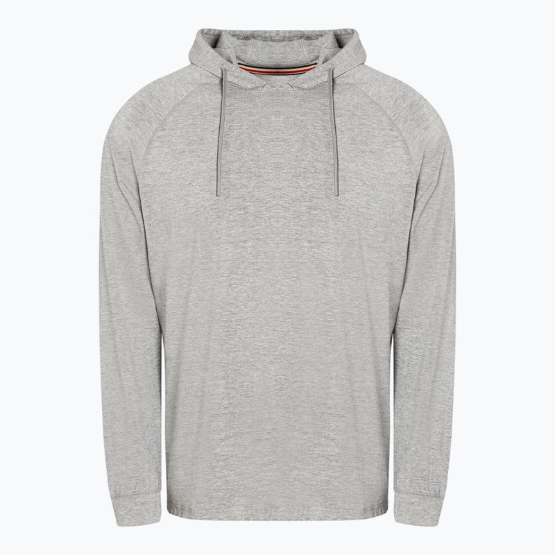 Pánská mikina Pitbull West Coast Hooded Small Logo Spandex 210 grey 6