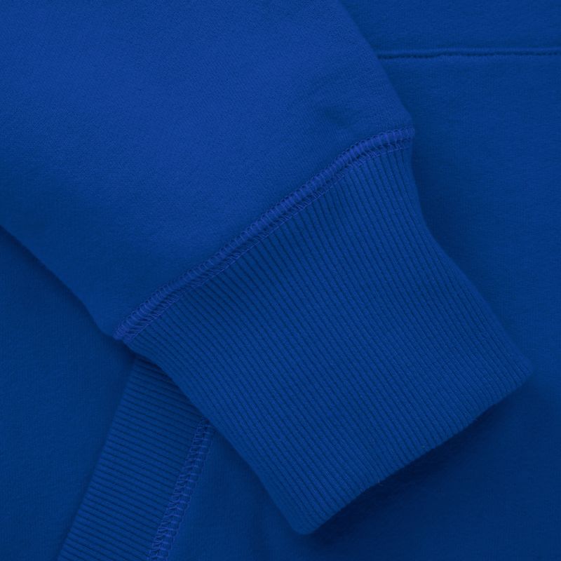 Pánská mikina Pitbull West Coast Hooded Small Logo royal blue 4