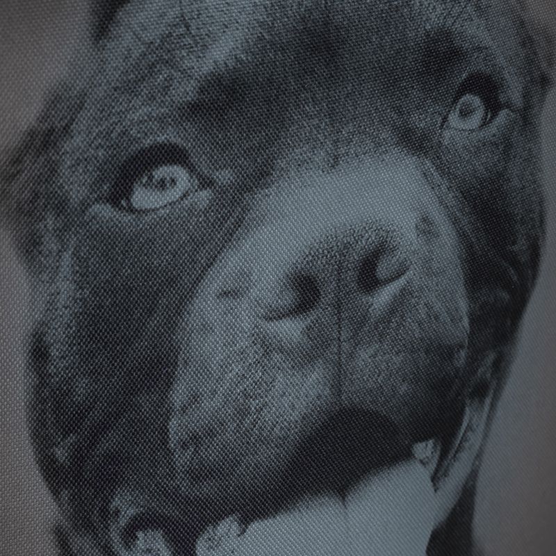 Pánský batoh Pitbull West Coast Pitbull Ir black/grey 12