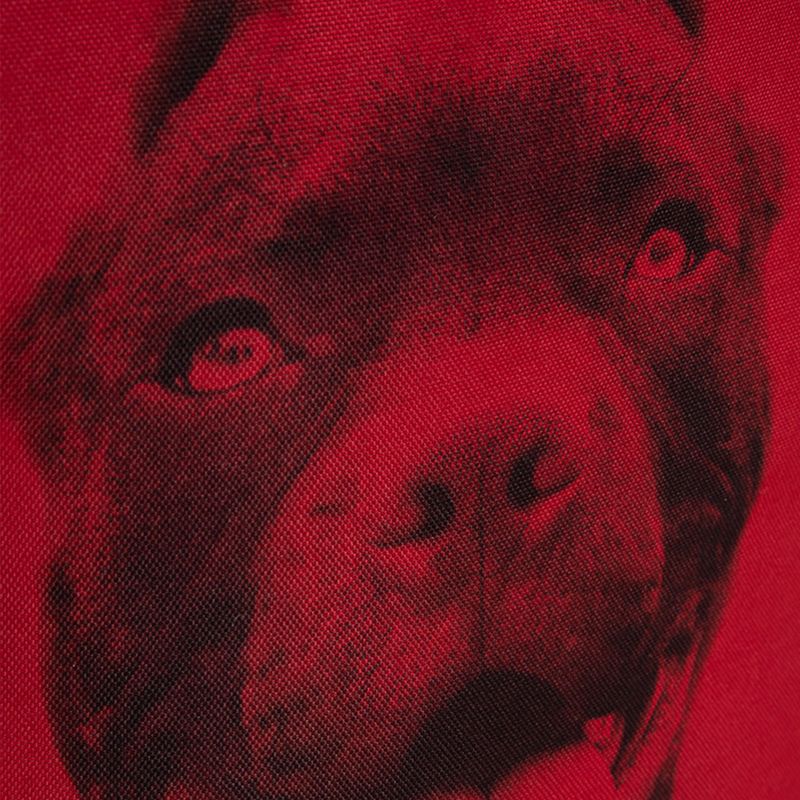 Pánský batoh Pitbull West Coast Pitbull Ir black/red 13
