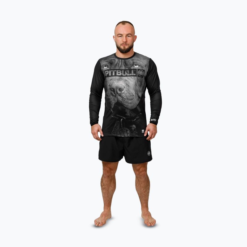 Pánské tréninkové tričko Pitbull Mesh Performance Pro Plus Training Longsleeve Born in 1989 black 2
