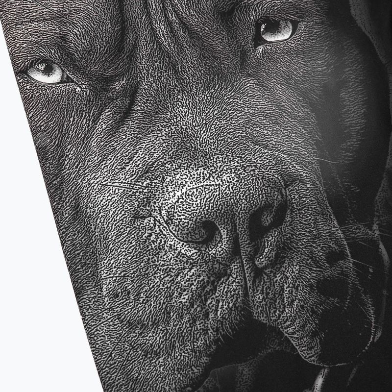 Pánské legíny Pitbull West Coast Born in 1989 black 3