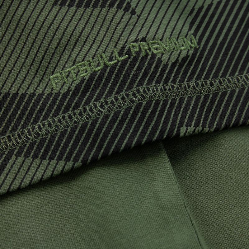 Pánské tričko Pitbull West Coast T-S Hilltop 210 olive 5