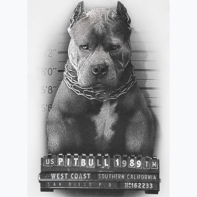 Pánské tričko Pitbull West Coast  Mugshot 2 white 8