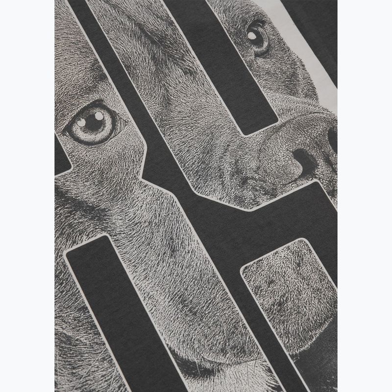 Pánské tričko Pitbull Eighty Nine Dog graphite 12