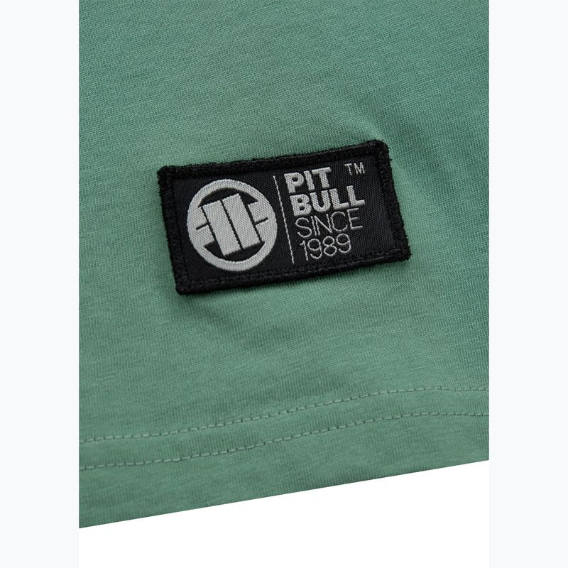 Pánské tričko Pitbull West Coast Oceanside mint 10