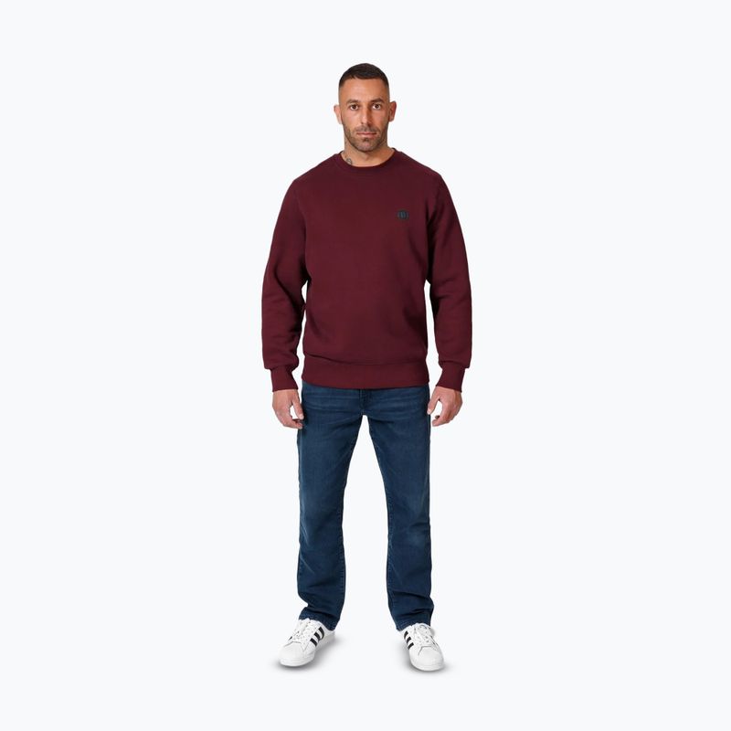 Pánská mikina Pitbull Small Logo Crewneck burgundy 2