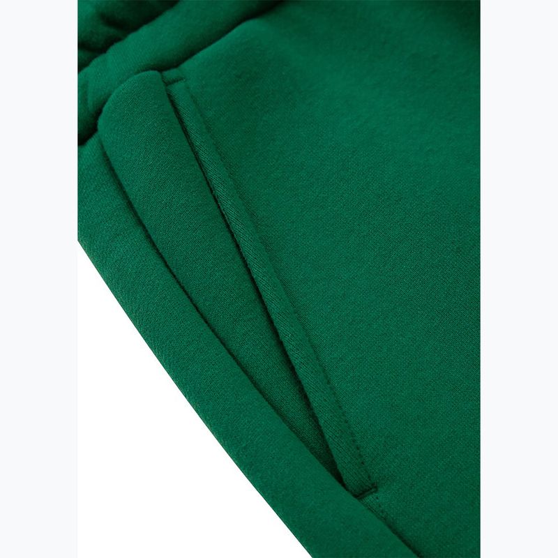 Dámské kalhoty  Pitbull Tyrian Trackpants green 4