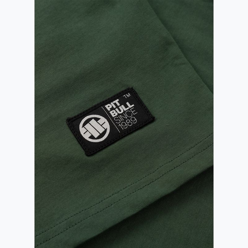 Pánské tričko Pitbull Small Logo green 12