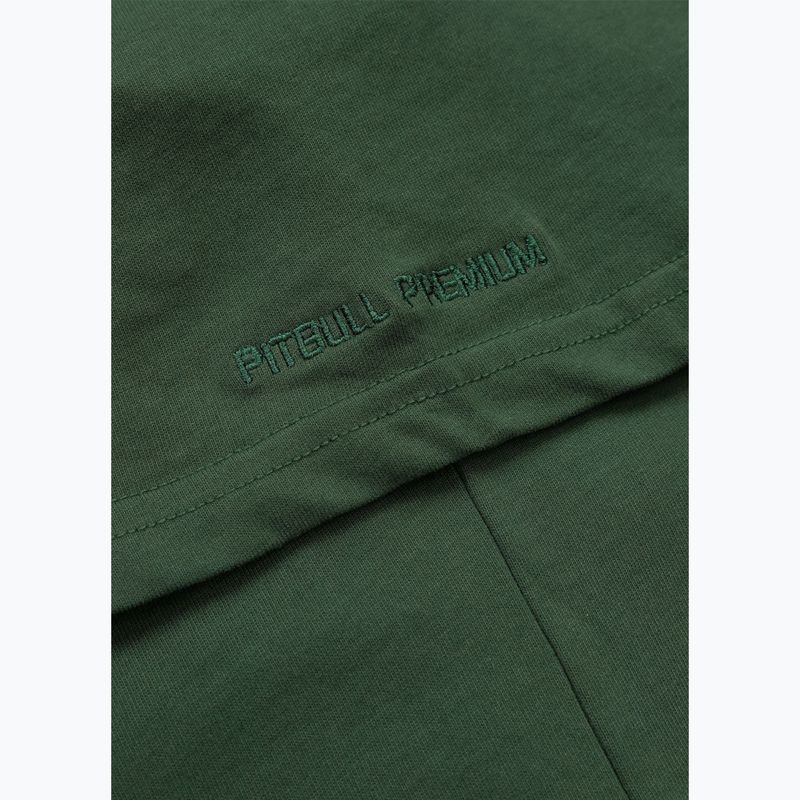 Pánské tričko Pitbull Scratch green 11