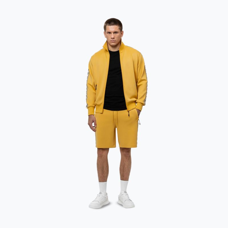 Pánská mikina Pitbull Track Jacket Powers pale yellow 2