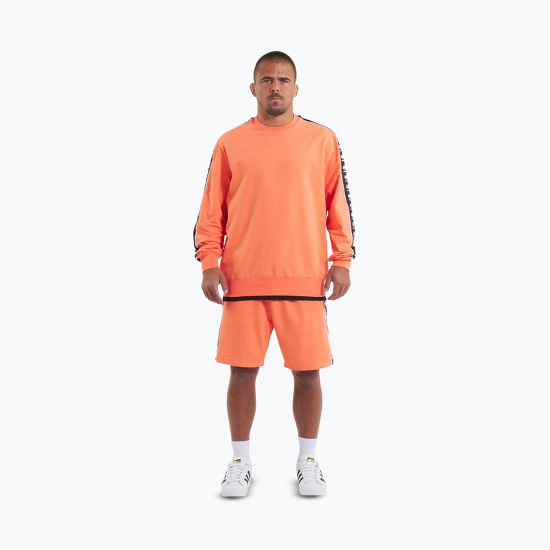 Pánská mikina  Pitbull Tape Nugget Crewneck Sweatshirt bright salmon 2