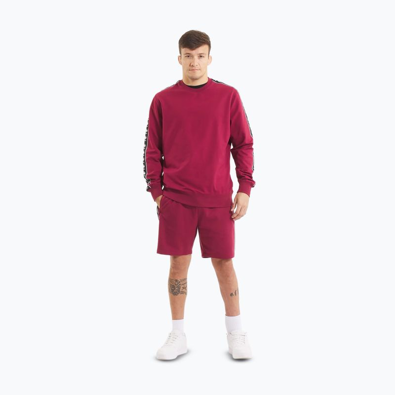 Pánská mikina  Pitbull Tape Nugget Crewneck Sweatshirt burgundy 2