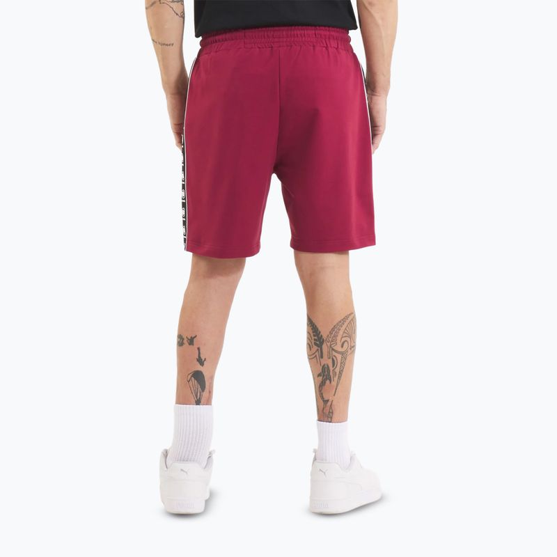 Pánské šortky Pitbull Tape Nugget burgundy 3