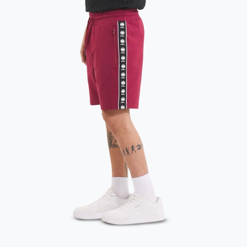 Pánské šortky Pitbull Tape Nugget burgundy 4