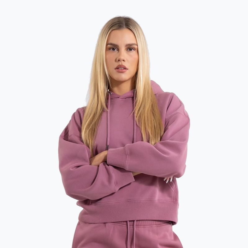 Dámská mikina Pitbull Manzanita Hooded Sweatshirt pink