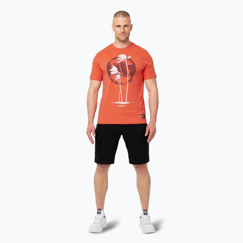 Pánské tričko Pitbull Palms bright salmon 2